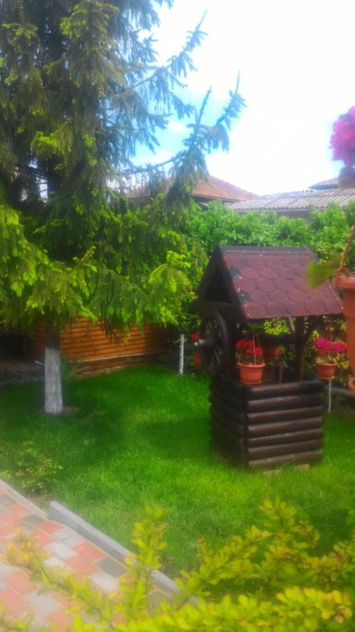 Casa Mola Lejlighed Mangalia Eksteriør billede