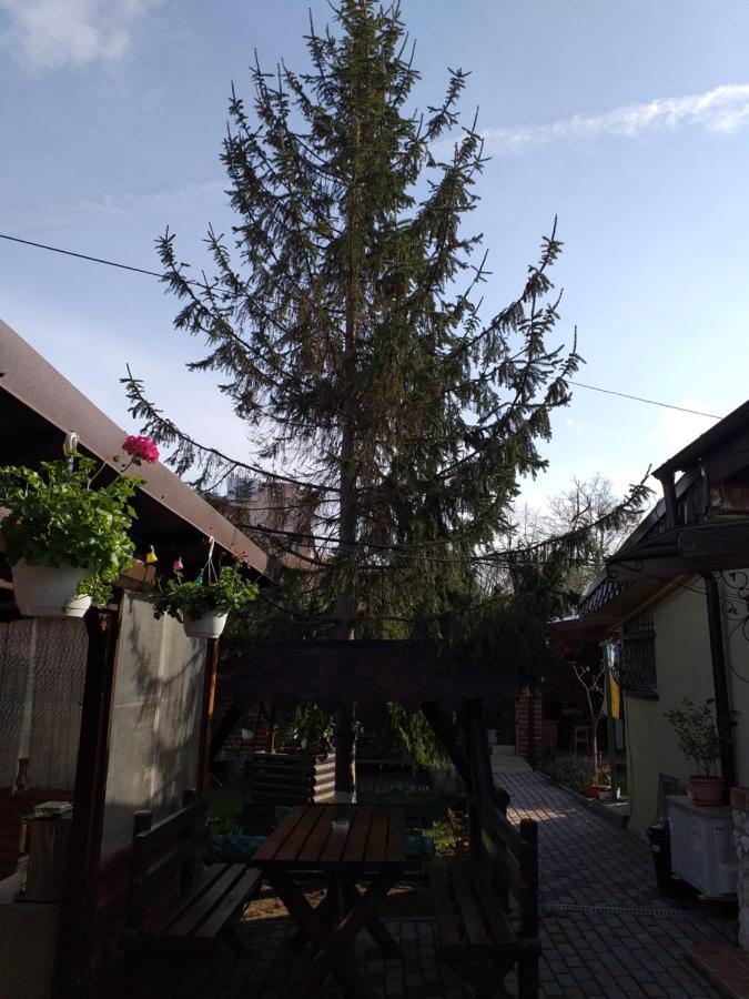 Casa Mola Lejlighed Mangalia Eksteriør billede
