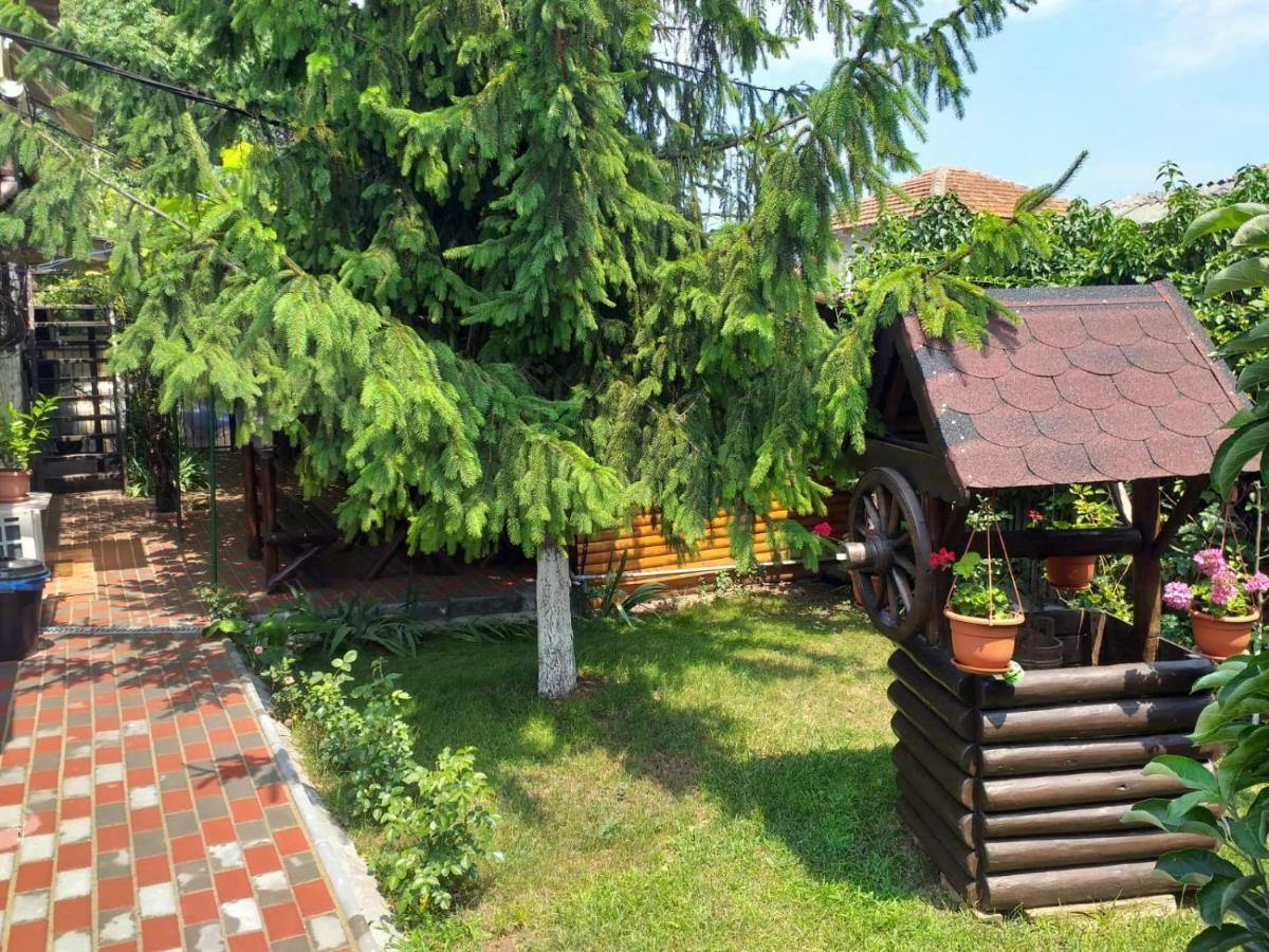 Casa Mola Lejlighed Mangalia Eksteriør billede